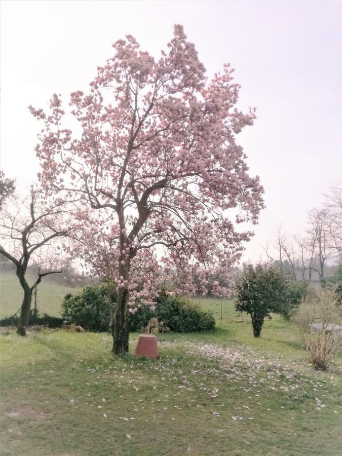 Casale Cadeloro Apartment Nebbiuno Luaran gambar