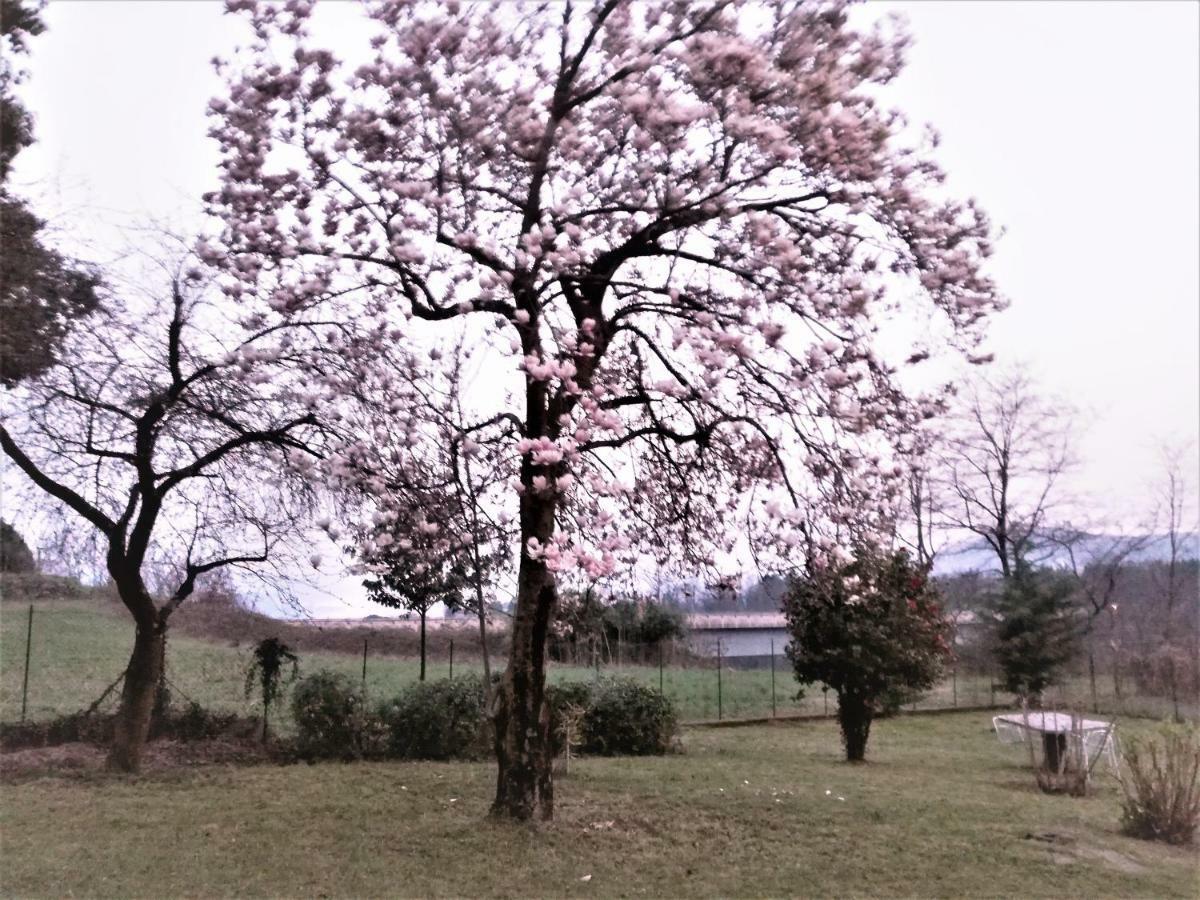 Casale Cadeloro Apartment Nebbiuno Luaran gambar